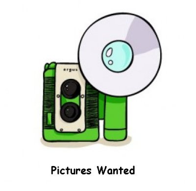 Picture of wanted