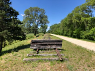 Picture of